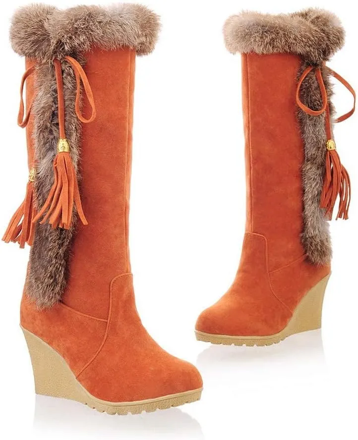 Bcshiye Snow Boots for Women,Casual Warm Winter Knee High Long Boots Comfortable Fur Lined Platform Cold Weather Boots